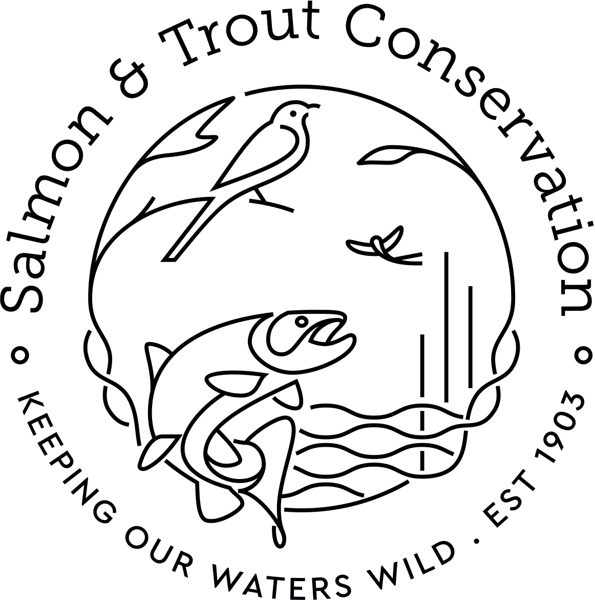 Salmon and Trout Conservation