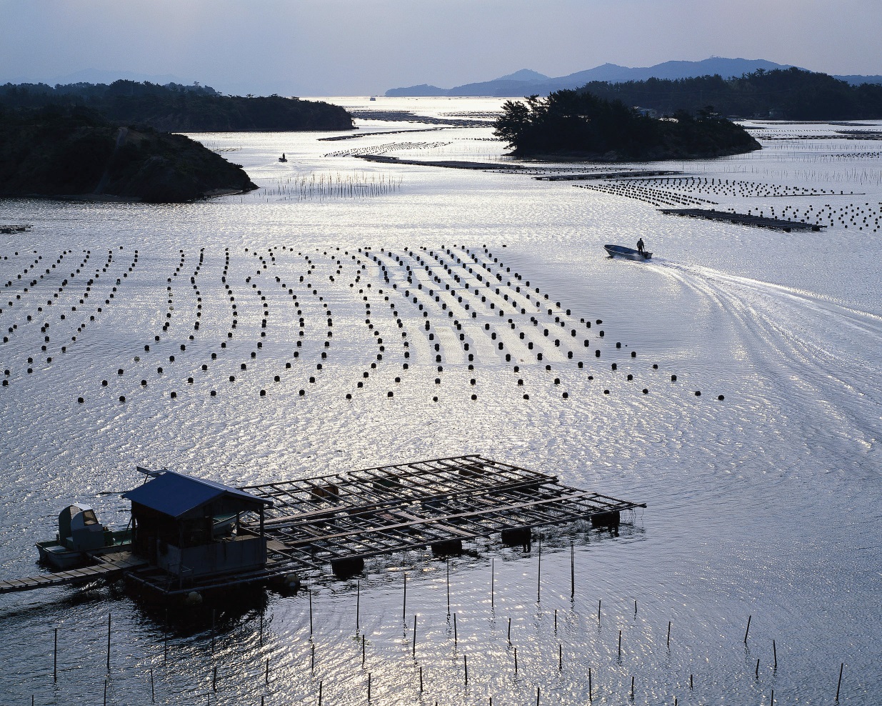 EC guidance on sustainable aquaculture