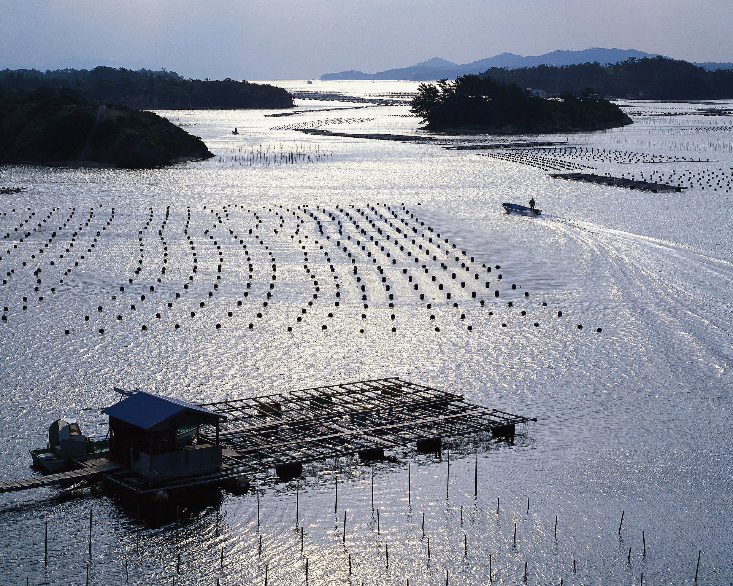 a sea farm with a boat