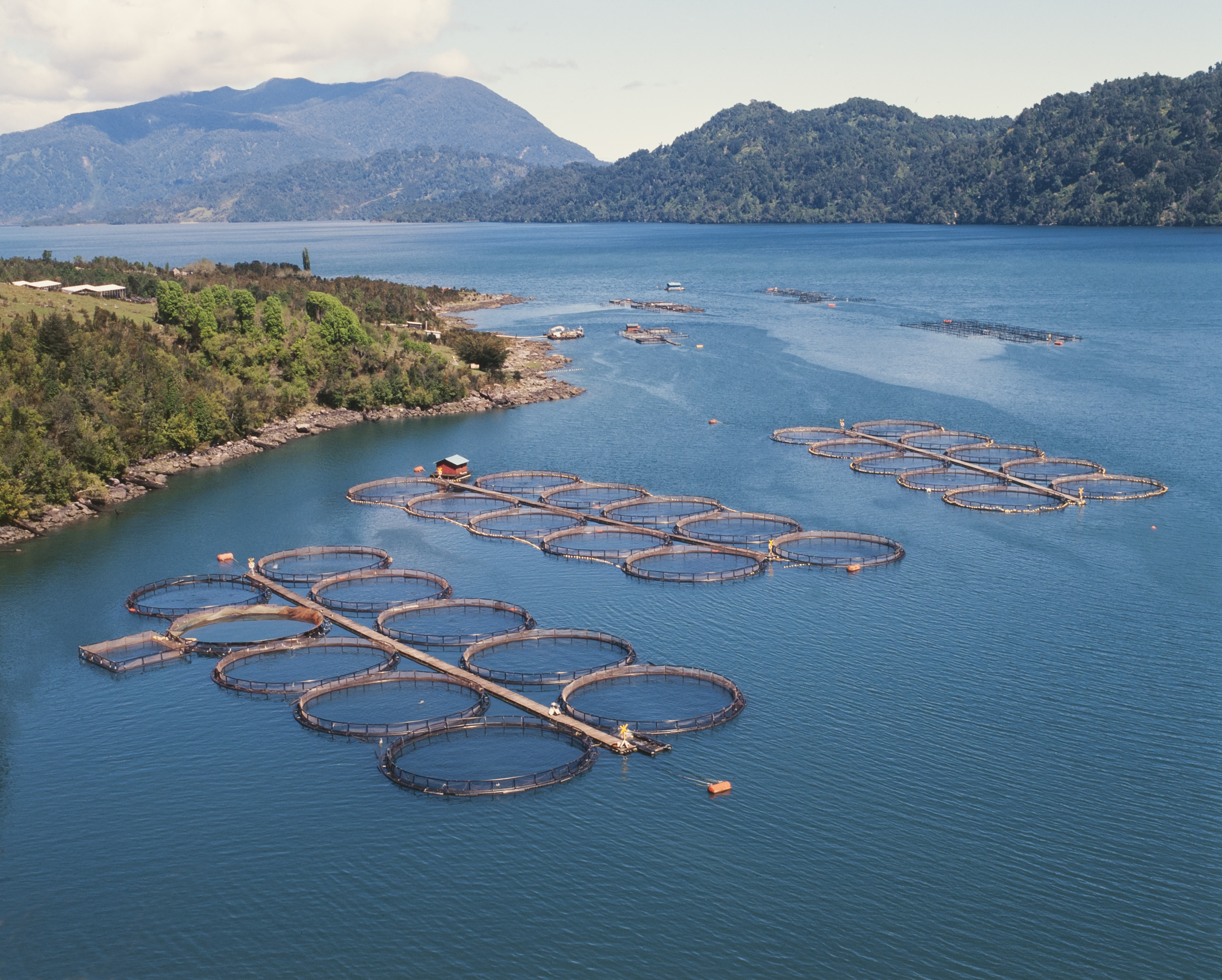 fish farm