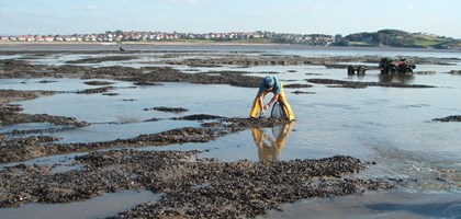 man collecting sediment from a muddy landscape