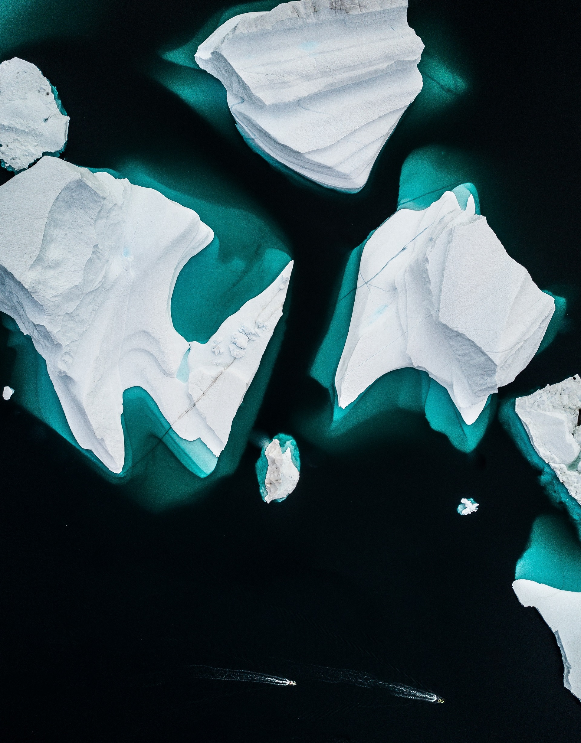 icebergs in sea