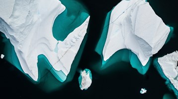 icebergs in sea