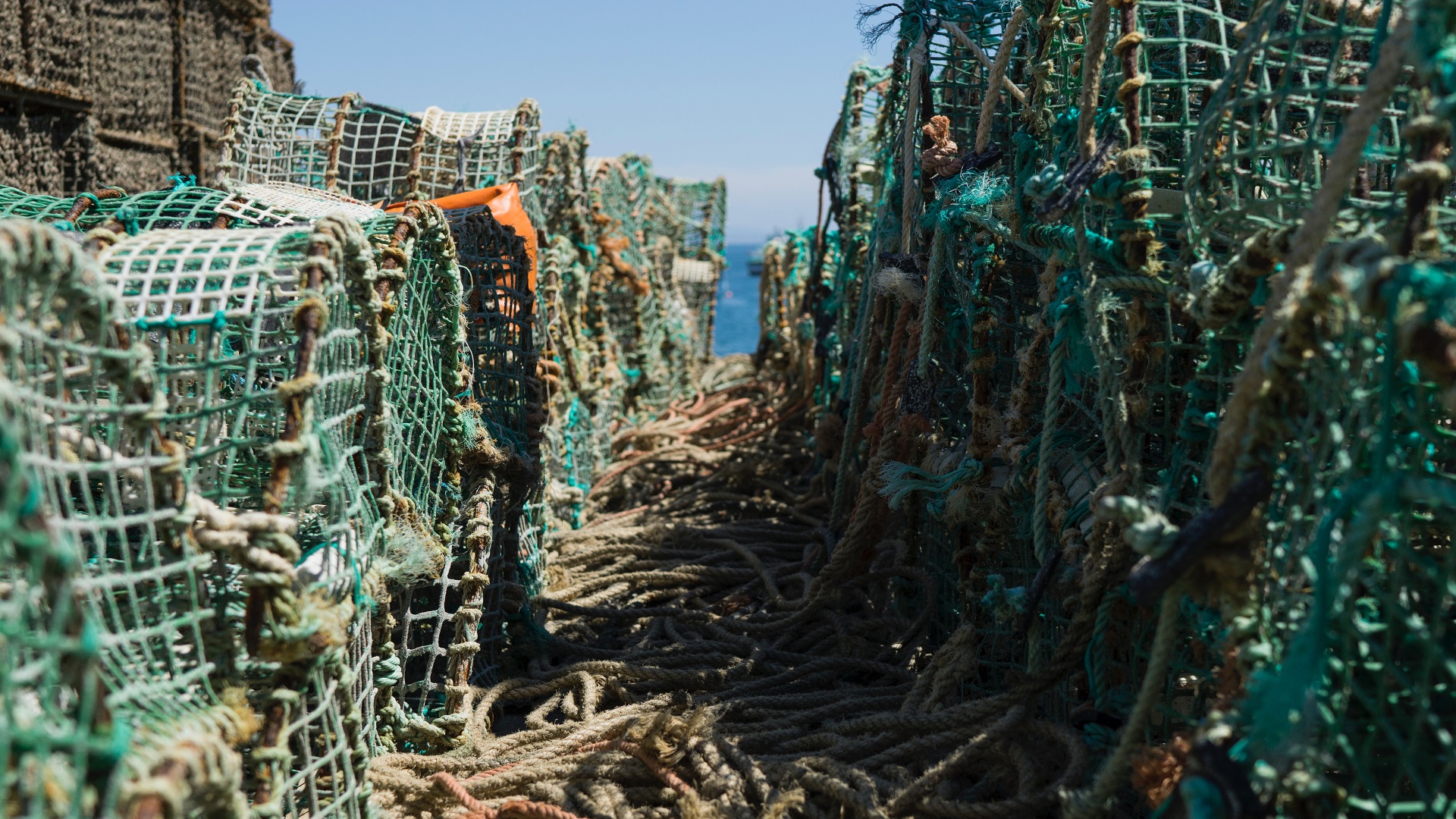 lobster pots and nets