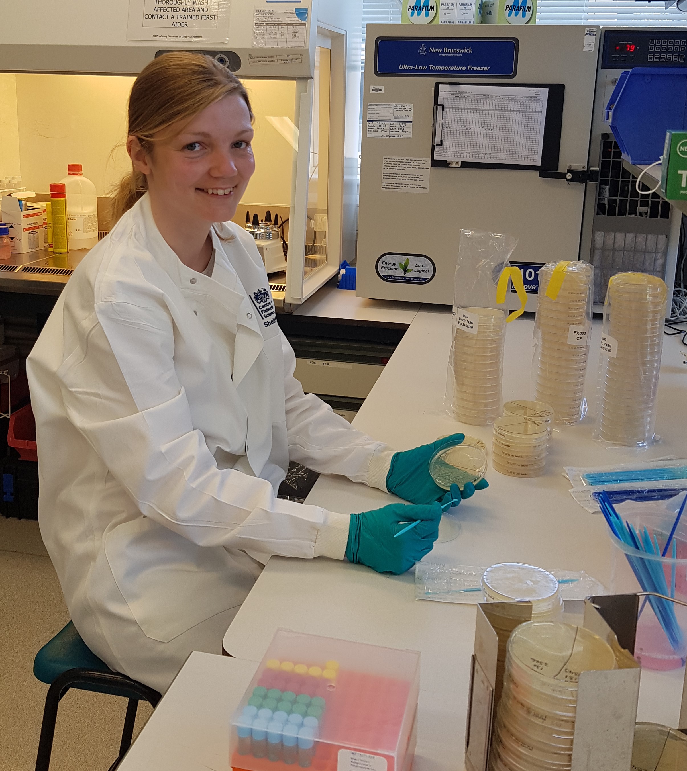 Image of Charlotte working in microbiology lab