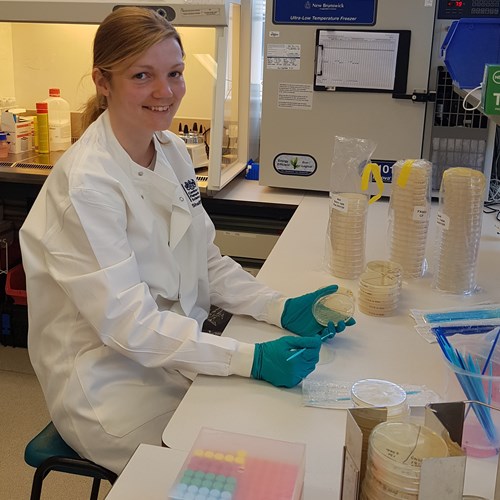 Image of Charlotte working in microbiology lab