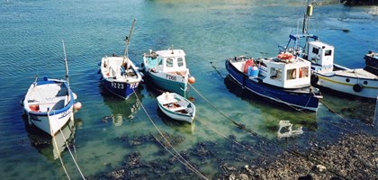 fishing boats in the sea