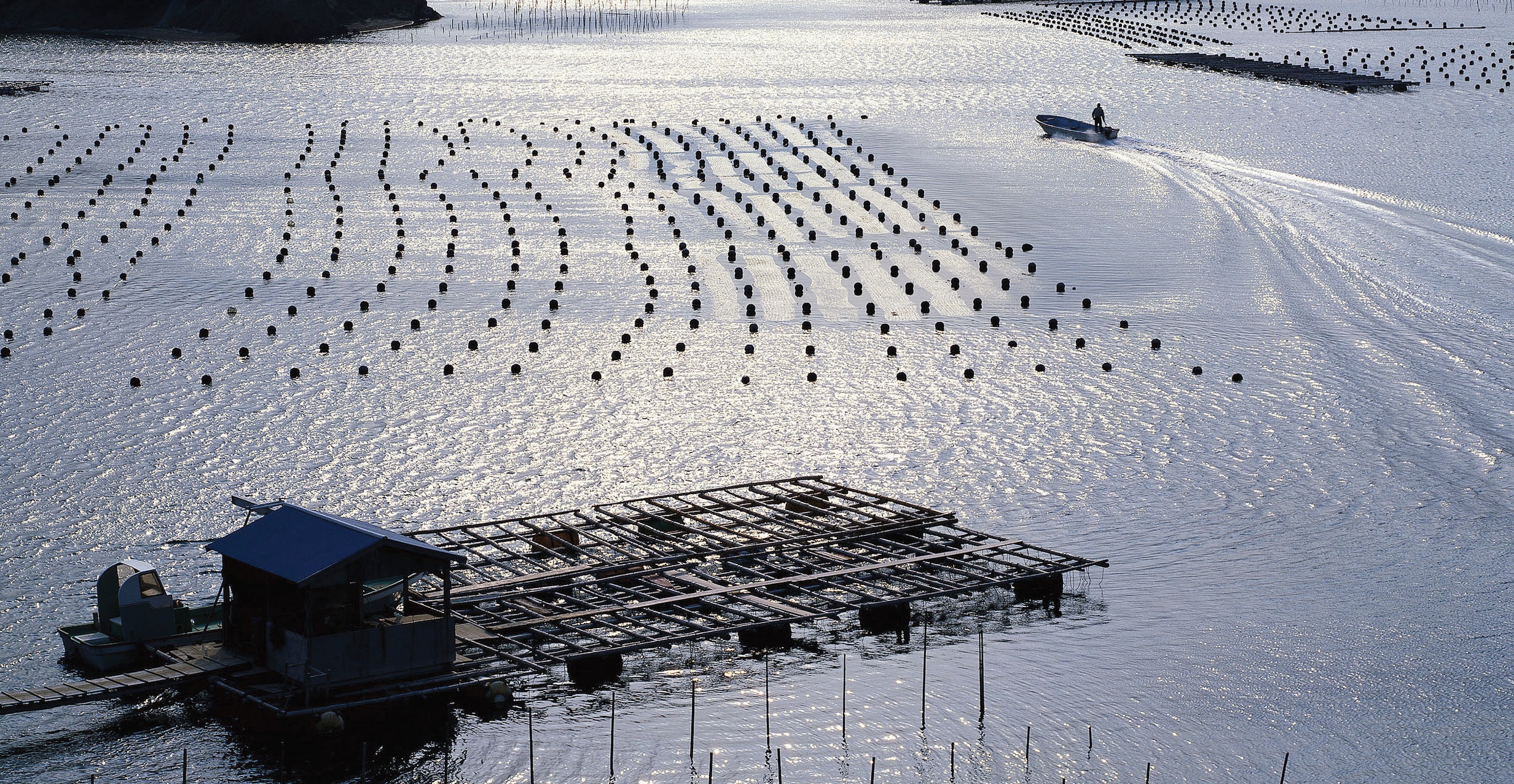 a sea farm with a boat