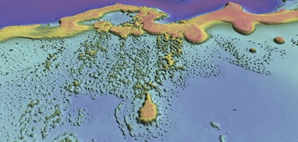 false colour map showing features of a seabed