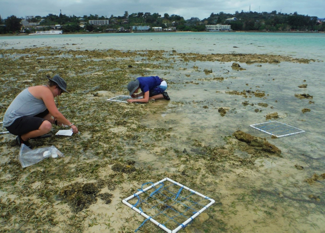 two people conducting science experiments on a beach